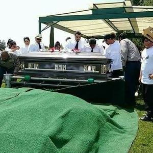 Meet your Posher, Ivan